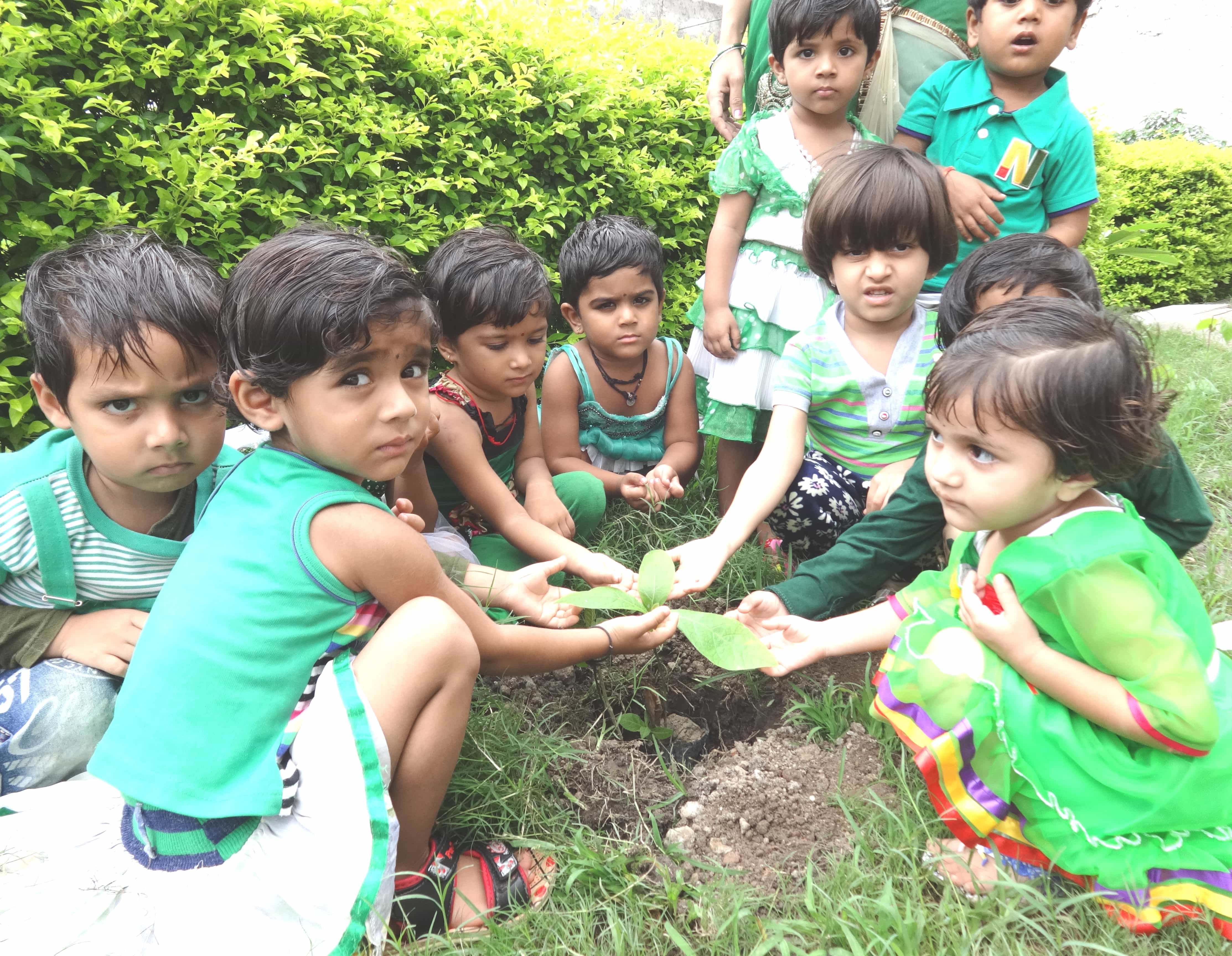 Sanskriti Global School